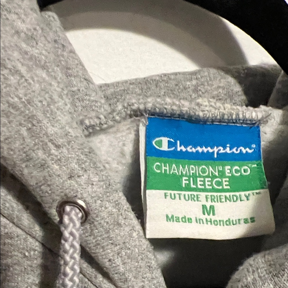 Champion Gray Washington Hoodie - Picture 2 of 6